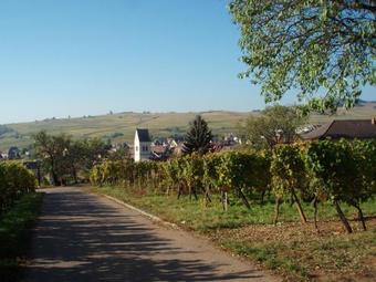 G�tes Au Domaine Greiner