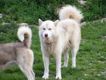 Hotel Azureva M�tabief