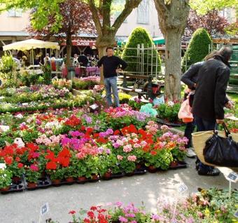 Bed & Breakfast No 15