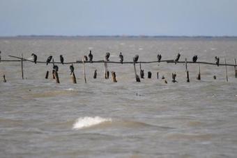 Apartment Avenue Marcel Pagnol