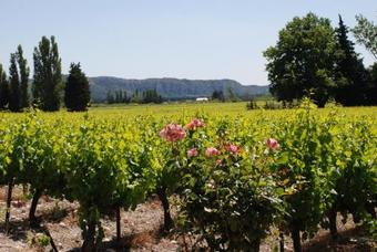 Au Bon P�n�quet - G�te