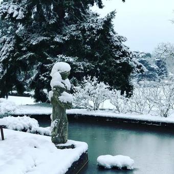 Bed & Breakfast Chateau D'ardree