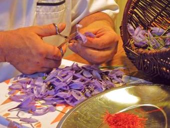 Bed & Breakfast La Schaafraniere