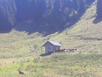 Apartment Immeuble Les Spatules