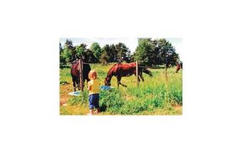 Holiday Home Vickelby G�rd Eskilstuna