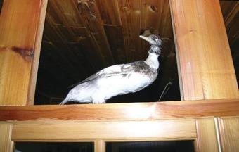 Holiday Home Eidsv�g Sommarfj�str�a