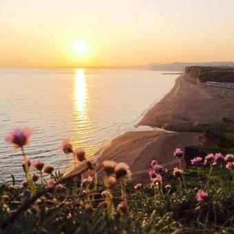 Hotel The Seaside Boarding House