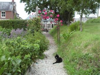 Bed & Breakfast Bangors Organic