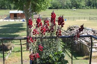 Bed & Breakfast Homelea B & B & Self Catering