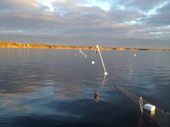 Lodge Hyv�l�n M�kit