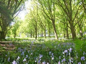 Pen Y Bont, Machynlleth