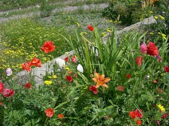 Hostal Guest House Nazi