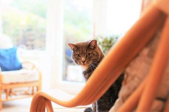 Bed & Breakfast Uppingham