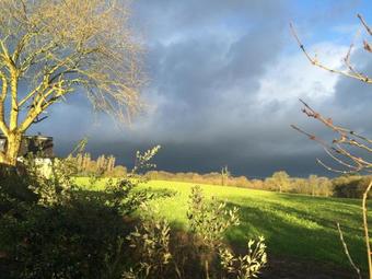 Bed & Breakfast Holly Cottage