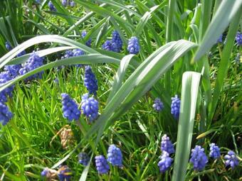 Bed & Breakfast Treliver Farm