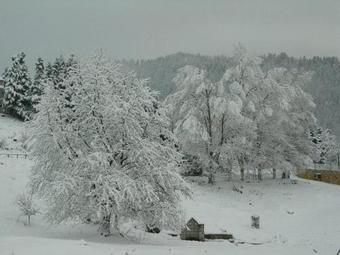 Hostal Xenonas Agnanti