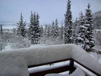 Apartamento Dryas Guesthouse