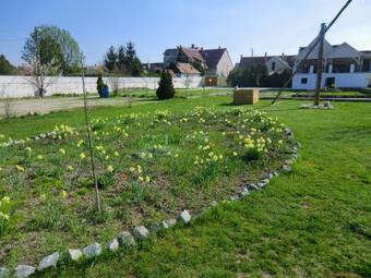 Hostal Popeye Pension