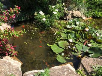 Hostal Vir�g Vend�gh�z