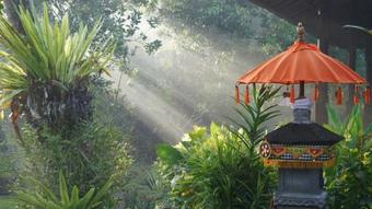 The Mahalani - All-inclusive Oceanfront Villa