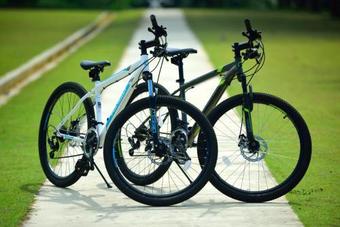 Hotel Holiday Villa Pantai Indah Bintan