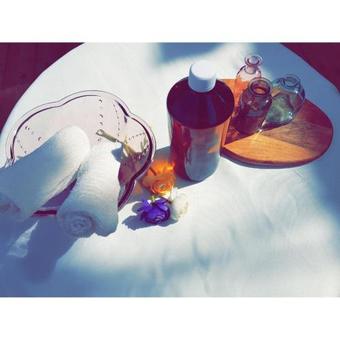 Hotel Anilevich Mansion