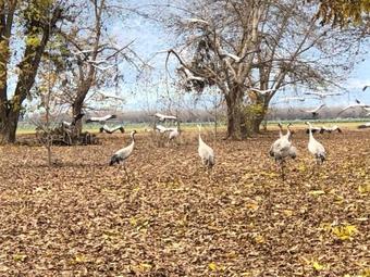 Apartamento The Roof