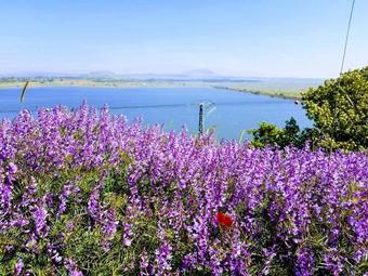 Hostal Etzel Tami Hospitality