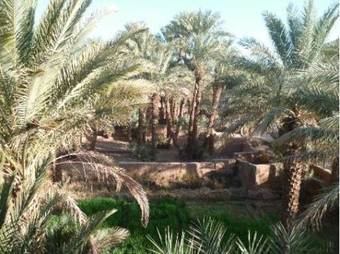 Bed & Breakfast Dar Nekhla