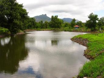 Agroturismo Tooth Mountain Farms