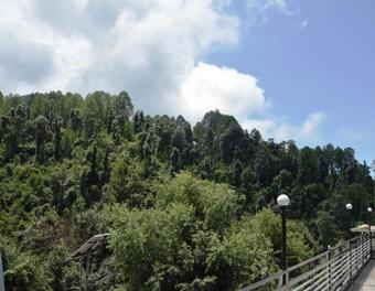 Hotel Satyadev Grand