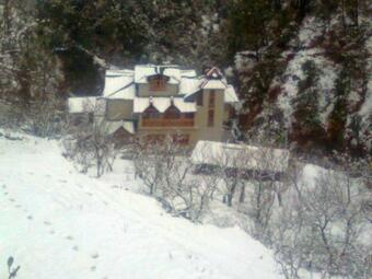 Hotel Stay Apart Wood Castle Resort