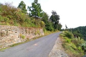 Apartamentos 1br Cottage Stay In Kufri-faghu-theog