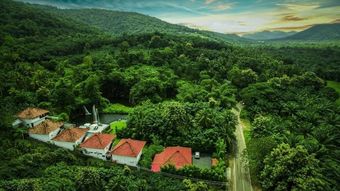 Hotel Athirapally Green Trees