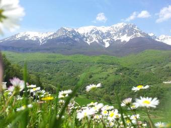 Agroturismo La Via Del Parco