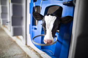 Agroturismo Agriturismo Carovane