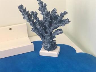 Bed & Breakfast Le Nereidi