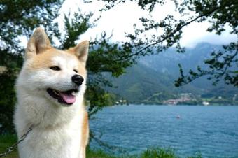 Apartamento Villaggio Belvedere