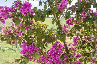 Le Valli Di Vendicari