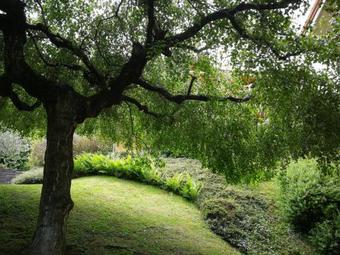 Bellagio Lake View Villa