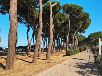 Apartamento Medresort 160s