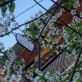 Bed & Breakfast Il Borgo Antico