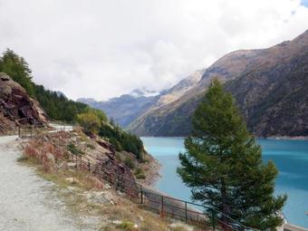 Apartamento Locazione Turistica Casa Della Forsythia (vpe100)