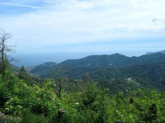 Apartamento Locazione Turistica Casa Di Vittoria (flg325)