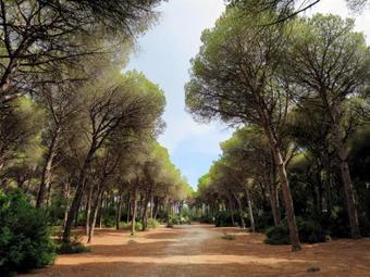 Apartamento Locazione Turistica Res. Le Poste Del Pianone (mto332)