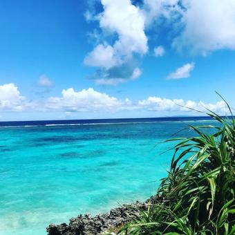 Meedafu's Yui Hostel And Coffee