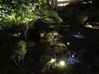 Luxury Ocean Front House Bay-villa