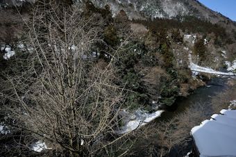 Select Grand Kagayamanaka