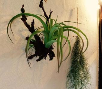 Hostal Fuji Matsuyama Base