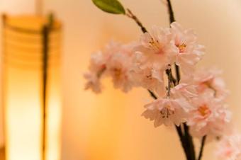 Awaji Horiday Inn Kariya